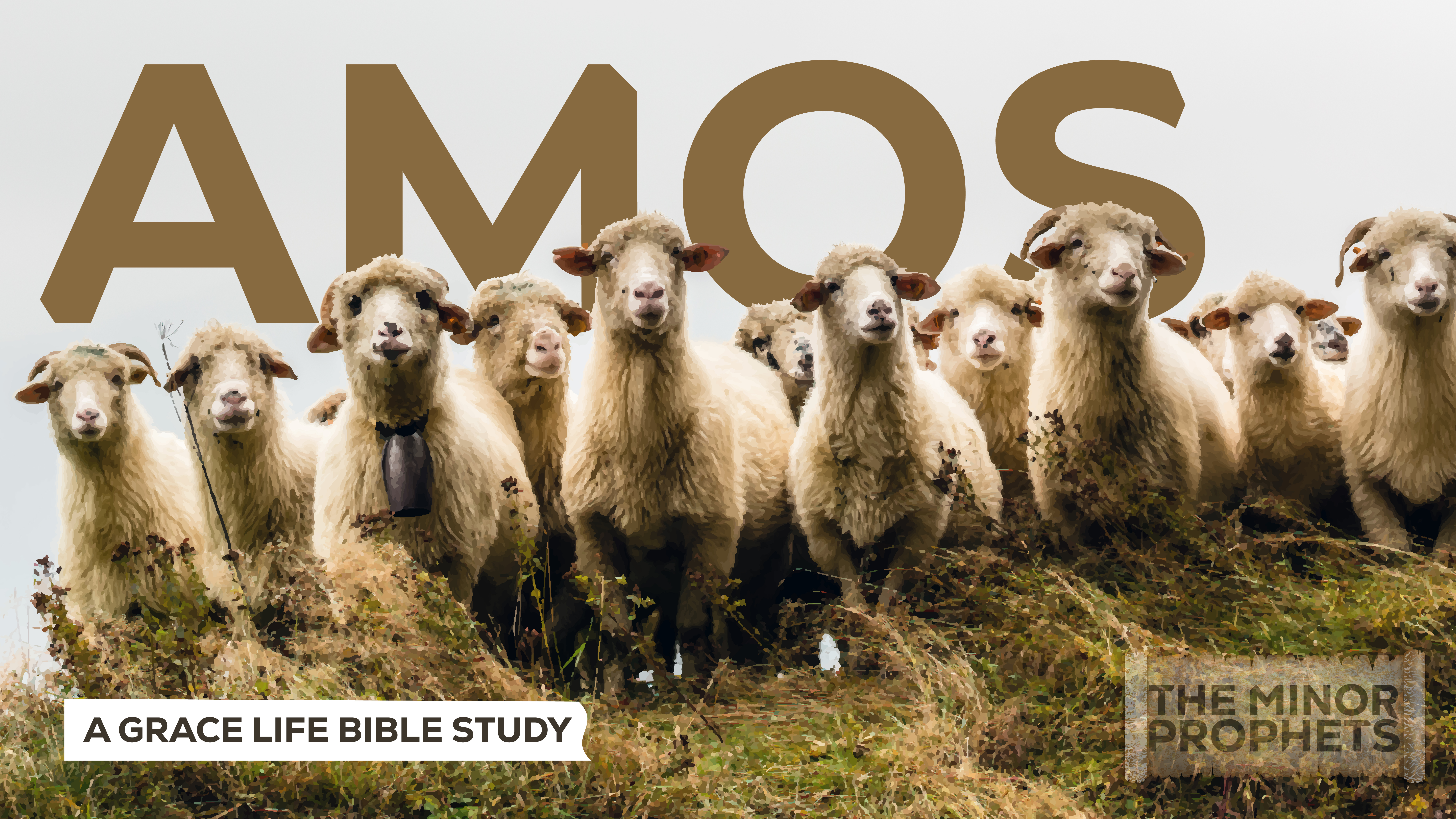 A Recap on our Study of Amos