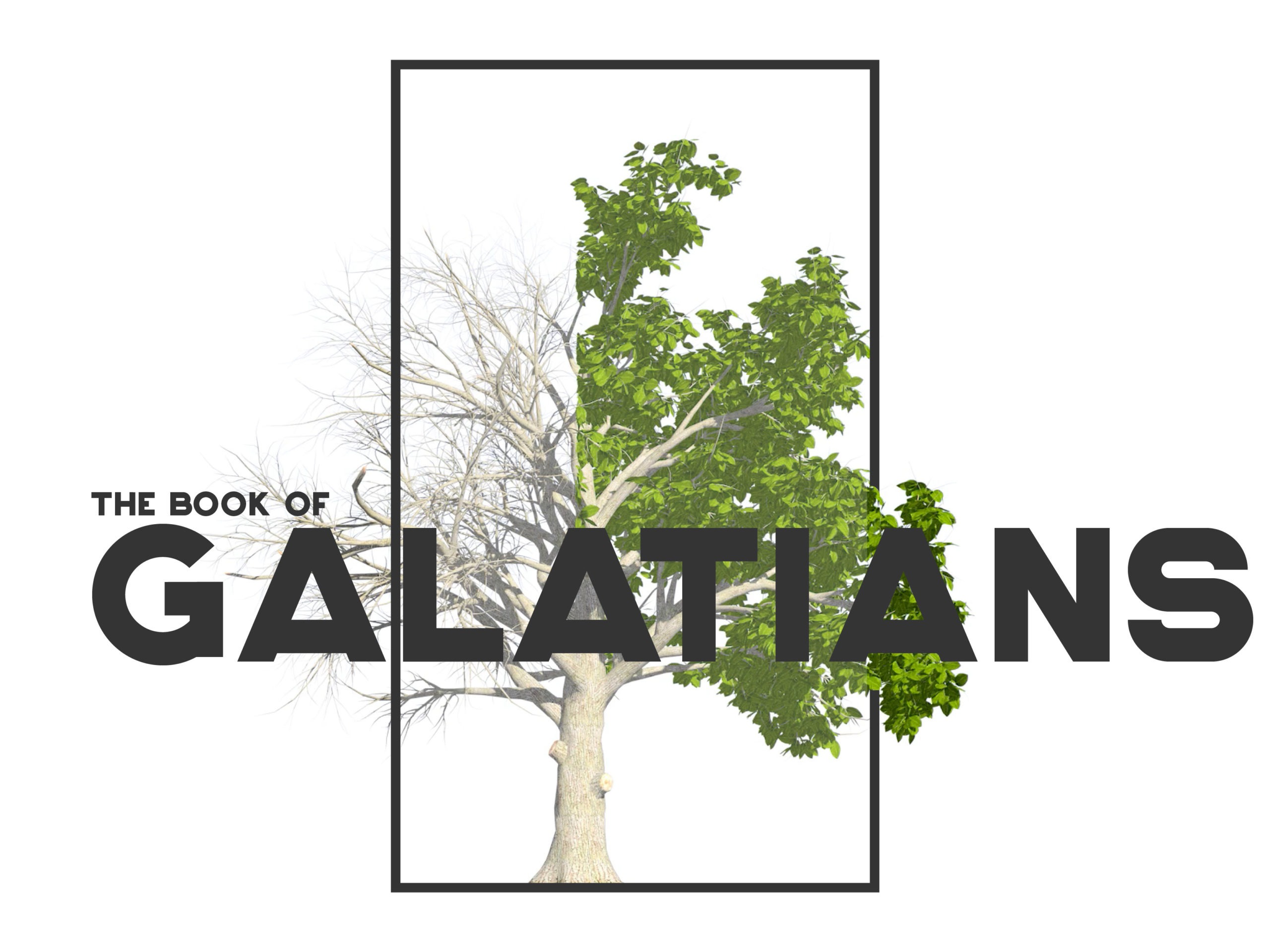 Special Episode 01: Why we’re studying Galatians in our LifeGroups