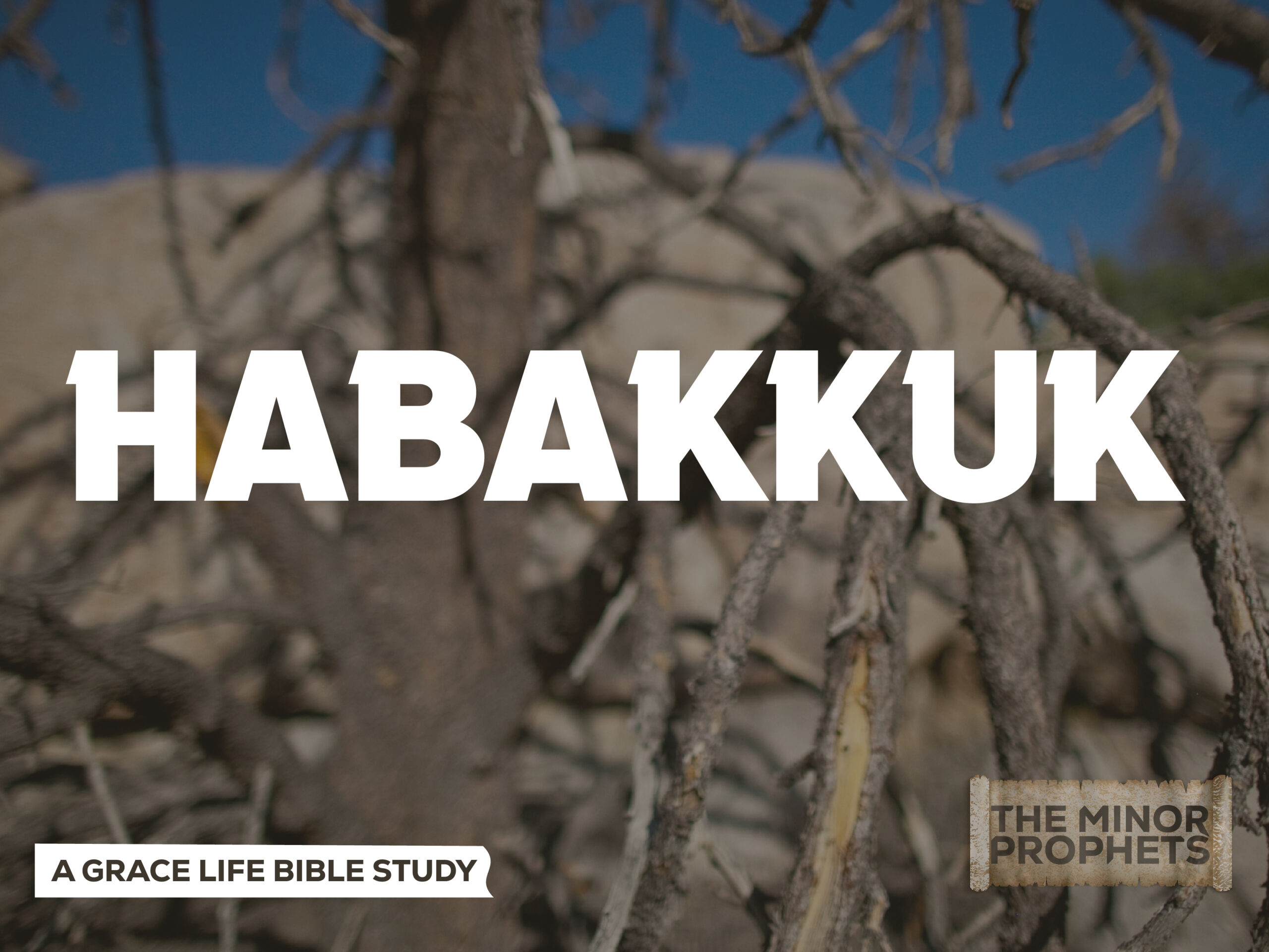 A Study on Habakkuk 1-3