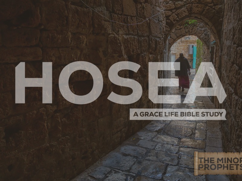 A Study on Hosea 6-8