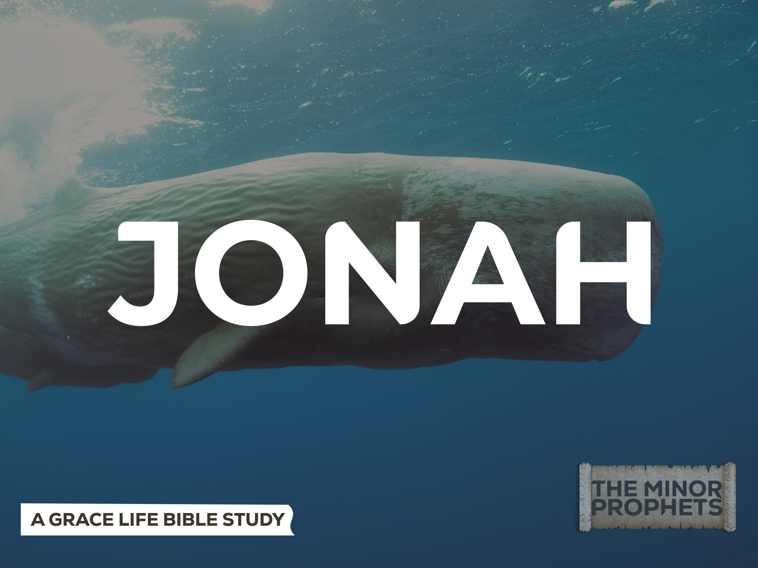 A Study on Jonah 1-2