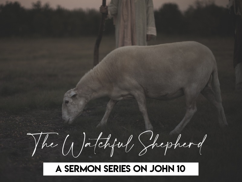 I AM the Good Shepherd: Part 1